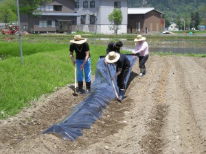 園芸活動01