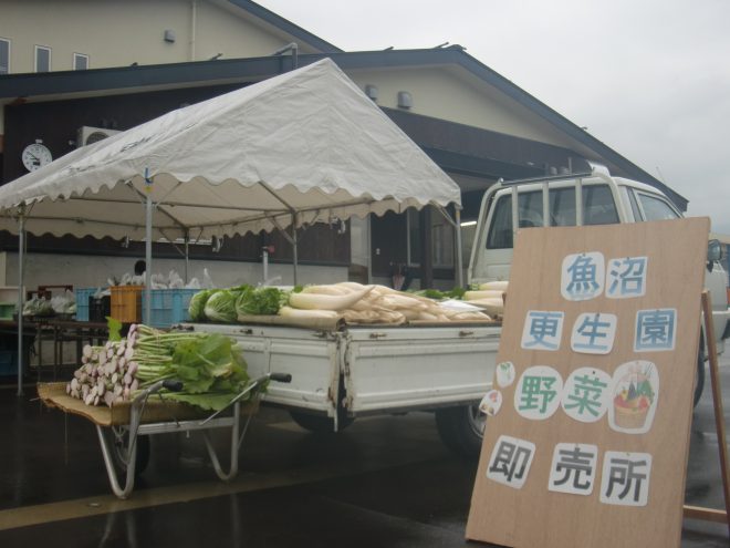 野菜即売